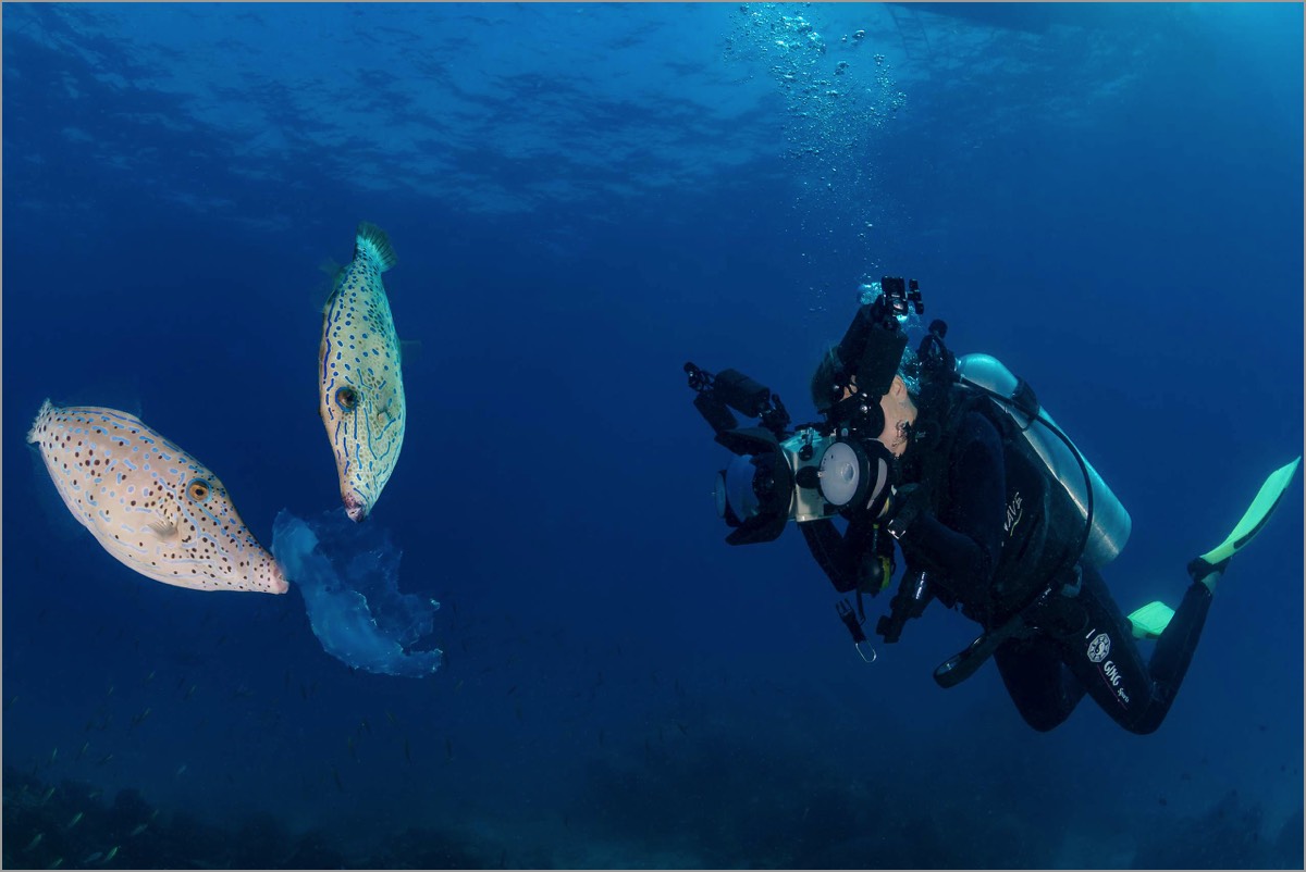 Photo-Buoyancy-Course